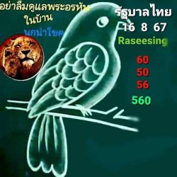 แนวทางเลขเด็ดนกนำโชคงวด